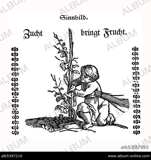 Allegorical depiction, "Zucht bringt Frucht", breeding bears fruit, historic depiction in Deutsche Literaturgeschichte, a history of German literature, from 1885.