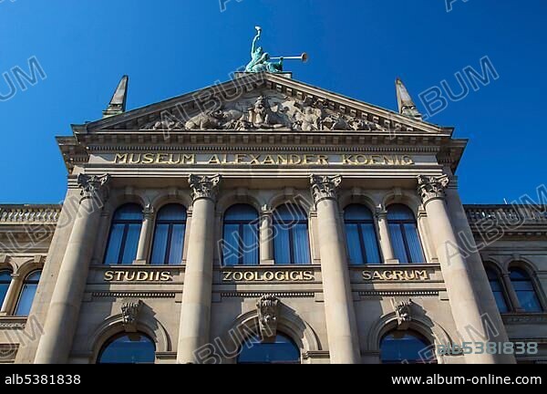 Alexander Koenig Museum, Zoological Research Museum, Bonn, North Rhine-Westphalia, Germany, Europe.