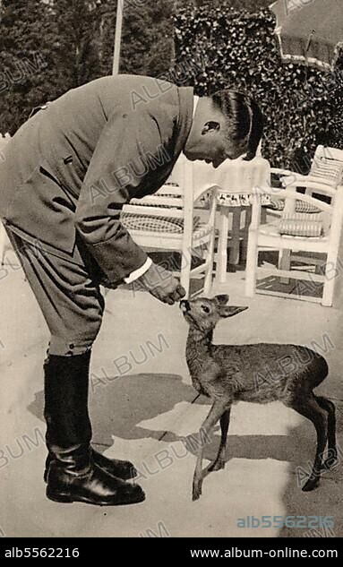 Adolf Hitler (* 20 April 1889 in Braunau am Inn) († 30 April 1945 Berlin), Leader of the Nazi Party, Reich Chancellor from 1933, also self-appointed "Fuehrer" and head of state of Germany, Fawn, animal love.