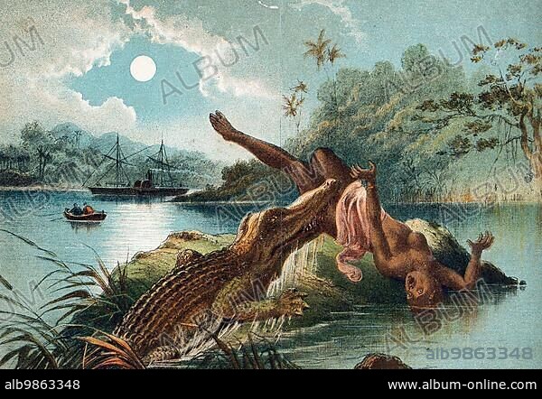 A crocodile emerging from the Zambezi River and biting off a woman's leg. The woman is taken by surprise and falls backwards off the stone in the water on which she was standing. An episode in the Zambezi River described by David Livingstone, circa 1850, Historical, digitally restored reproduction from an original of the time.