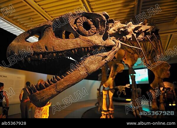 Brachytrachelopan mesai, herbivore, lived 145 million years ago, Giant Dinosaurs of Argentina exhibition, Lokschuppen, locomotive shed, Rosenheim, Upper Bavaria, Bavaria, Germany, Europe.