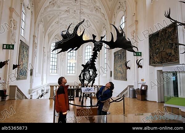 Children looking up in awe at a Megaloceros skeleton, Deutsches Jagd- und Fischereimuseum (German Hunting and Fishing Museum), Munich, Bavaria, Germany, Europe.