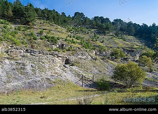 Secret Führer headquarters for Hitler, former bunker with 25 tunnels, built 1944-1945 by concentration camp prisoners, Jonastal, Arnstadt, Thuringia, Germany, Europe.