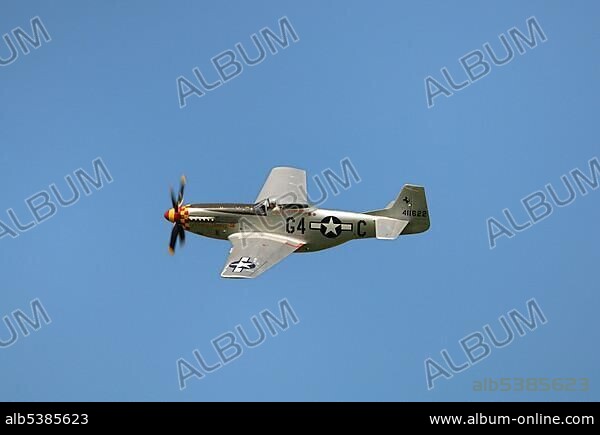 Legendary American fighter aircraft, North American P-51 Mustang, flying by at low-altitude.