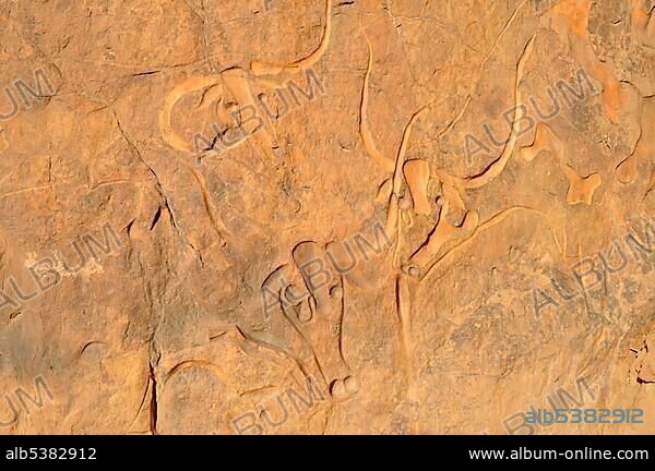 Rock engraving of a crying cow, neolithic rock art near Djanet, Tassili n'Ajjer National Park, Unesco World Heritage Site, Wilaya Illizi, Algeria, Sahara, North Africa, Africa.