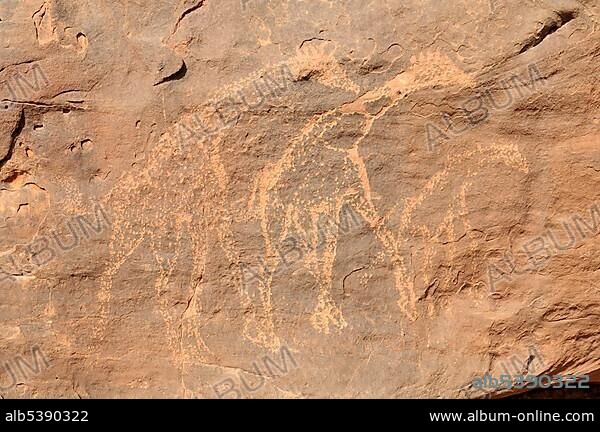 Giraffe engraving, neolithic rock art of the Tadrart, Tassili n'Ajjer National Park, Unesco World Heritage Site, Algeria, Sahara, North Africa, Africa.