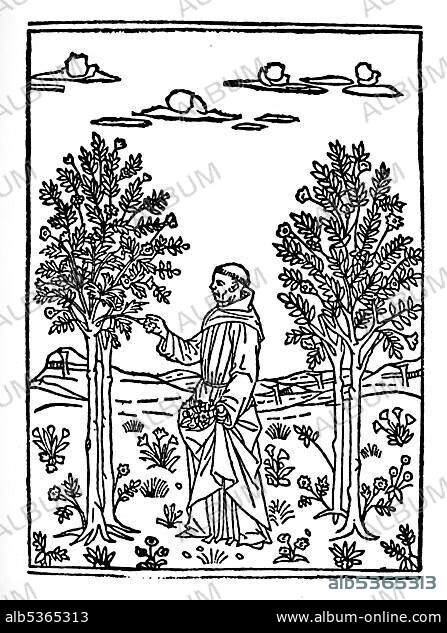 Monk harvests fruit, wood carving from medieval times.