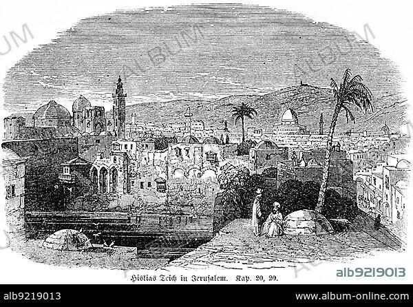 Hezekiah's Pool in Jerusalem, water conduit, build, divert water, city view, city wall, towers, domes, palm trees, people, Kings Judah, Manasseh, Bible, Old Testament, Second Book of Kings, chapter 20, verse 20, historical illustration c. 1850, Near East.