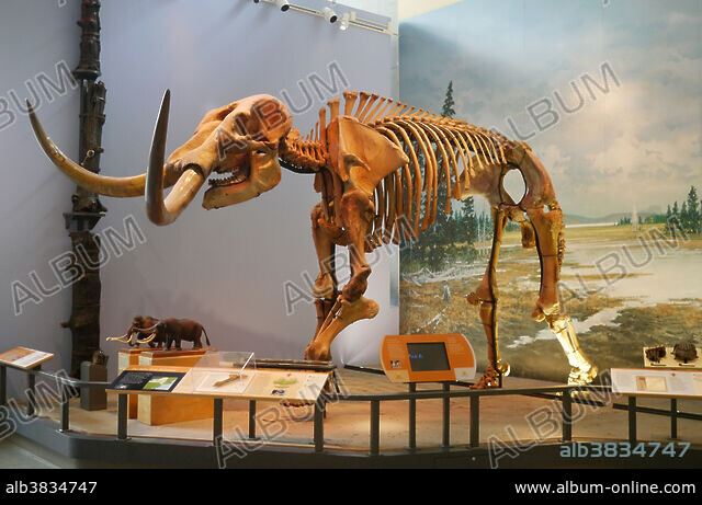 トムソン　mastodon album_alb3834747.jpg