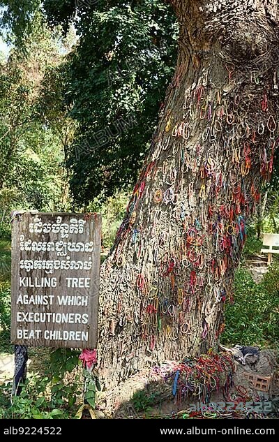 Choeung Ek Killing Fields in Phnom Penh Cambodia. Killing tree against which executioners beated children.