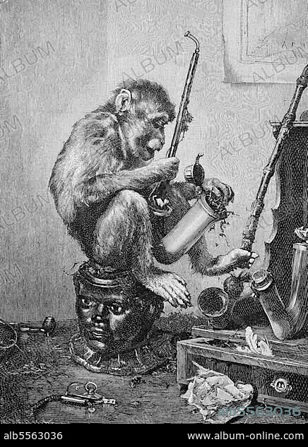 Affe am Tisch und Rauchen, mit einer Pfeife, Historisch, digital restaurierte Reproduktion einer Originalvorlage aus dem 19. Jahrhundert.