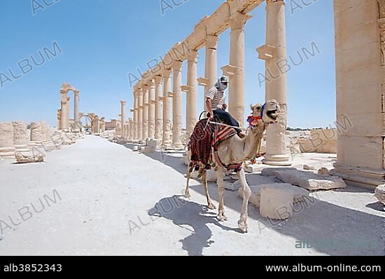 The ruins of the ancient city of Palmyra, Tadmur, Palmyra District, Homs Governorate, Syria, Asia.