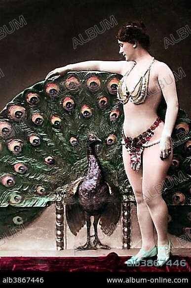 Erotic, nude photo, variete dancer posing with peacock, 1910s, exact place unknown, Germany, Europe.