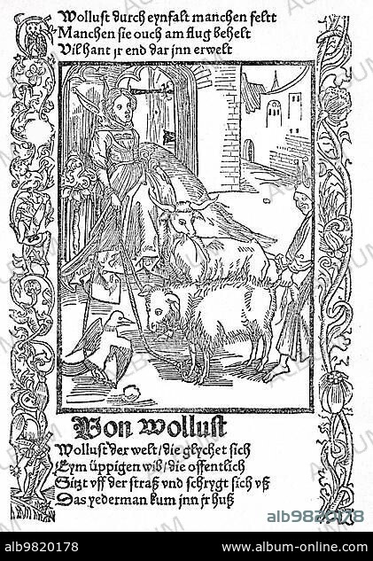 The Ship of Fools by Sebastian Brant; 1494; late medieval moral satire. Of lust that lures like a streetwalker and is no better than an ox and sheep trotting to the slaughter; Historical; digitally restored reproduction from a 19th century original.
