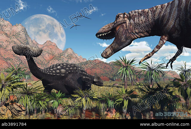 A T. Rex confronts an Ankylosaurus dinosaur. - Album alb3891784