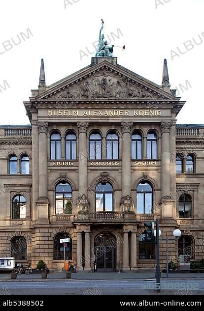 Alexander Koenig Museum, Zoological Research Institute, Natural History Museum, Bonn, Rhineland, North Rhine-Westphalia, Germany, Europe.