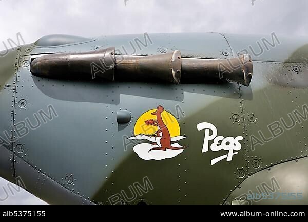 Aircraft Nose Art: Wood, Jim: 9780861017065: Amazon.com: Books