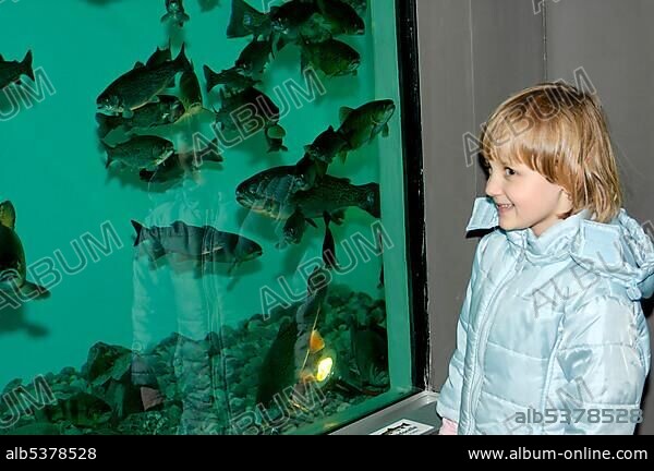Bad Wiessee at the Tegernsee Uper Bavaria Germany Aquadome Sweetwater fish Aquarium.