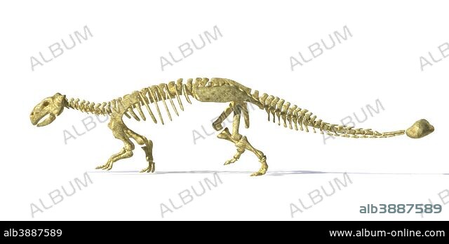 3D rendering of an Ankylosaurus dinosaur skeleton. - Album