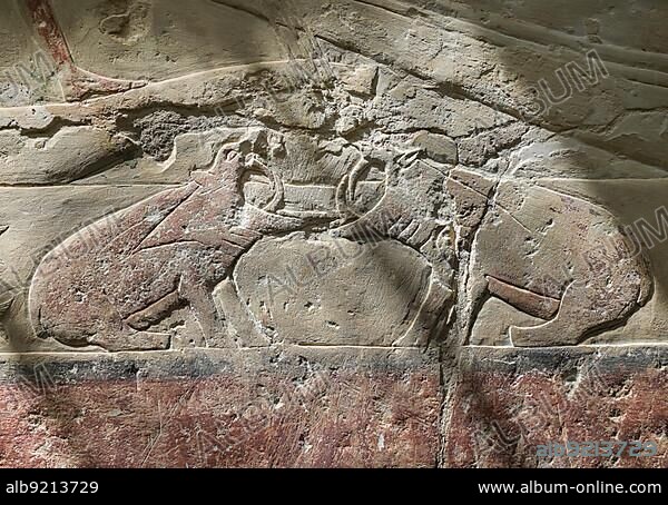 Fighting hippos, relief in the tombs of Idut, Unas-Ank and Inefert, necropolis of Sakkara, Egypt, Africa.