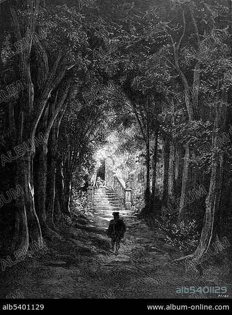Illustration from The Sleeping Beauty, trees and light at the end of the tunnel, from Perrault's fairy tale by Charles Perrault, illustrated by Gustave Dore.