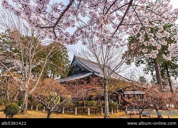 Shinsho Gokurakuji or Shinnyo-do Temple, Japanese Cherry Blossom, Kyoto, Japan, Asia.