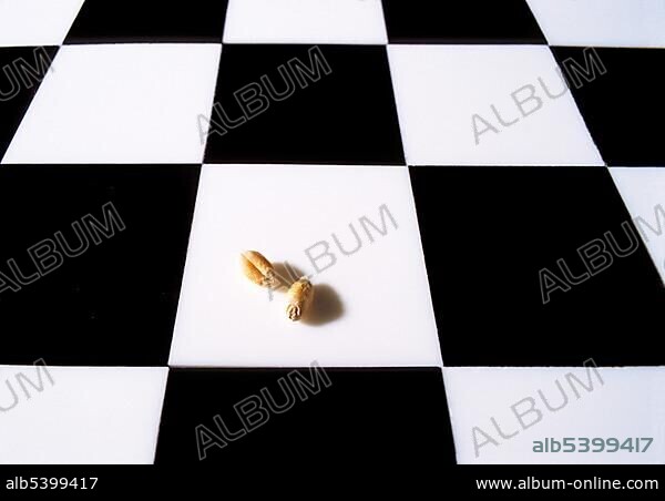 Chess board (checkerboard, cequerboard) with two grains of wheat. Story (legend) of the Indian king Shihram and the wise man Sissa bin Dahir.