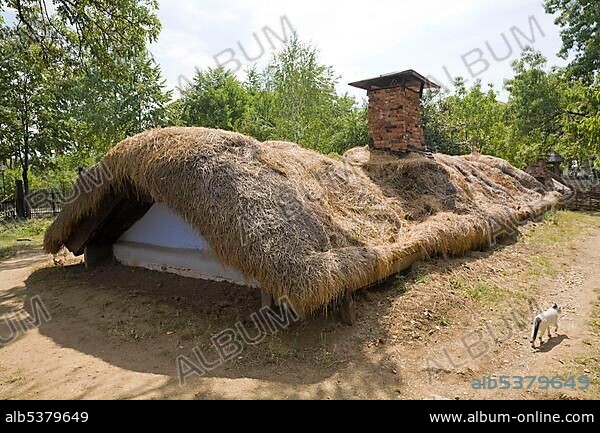 Farm house from the 19th century in the Bucharest village museum, Muzeul National Al Satului Dimitrie Gusti, Bucharest, Romania, Europe.