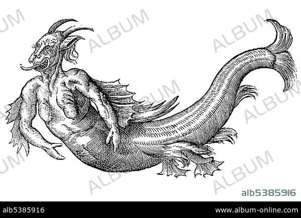 Woodcut, Monstrum marinum daemoniforme, 357, marine monster in the shape of a demon, Aldrovandi, Historia Monstrorum, 1642, Renaissance.