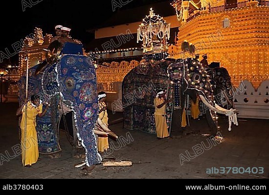 Decorated elephants, Dalada group with sacred elephant Maligawa Raja, carrying Sacred Tooth Relic, Buddhist festival Esala Perahera, in front of Sri Dalada Maligawa or Temple of the Sacred Tooth Relic, Kandy, Central Province, Sri Lanka, Asia.