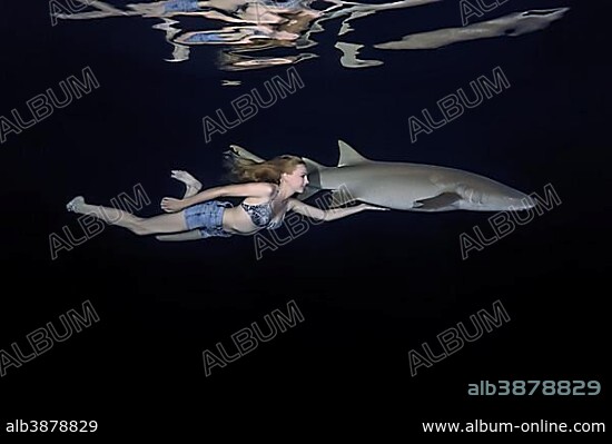Young beautiful woman swims with shark at night, tawny nurse shark (Nebrius ferrugineus), Indian Ocean, Maldives, Asia.
