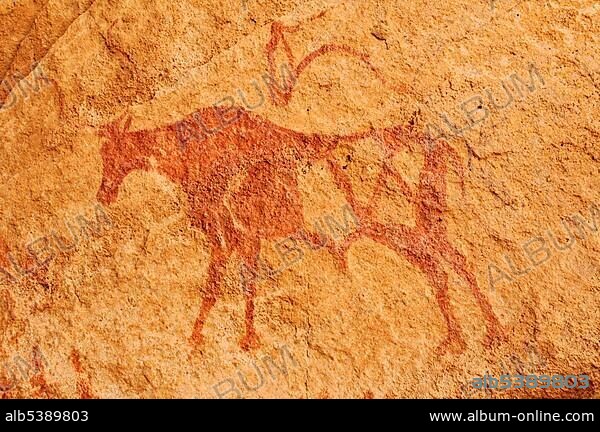 Painted cow, neolithic rock art of the Tadrart, Tassili n'Ajjer National Park, Unesco World Heritage Site, Algeria, Sahara, North Africa, Africa.