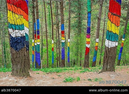 Painted tree trunks, painted wood, El Bosque animado de Oma, artist Agustín Ibarrola, Oma forest, Basque Country, Spain, Europe.