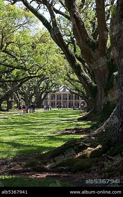 The restored Oak Alley Plantation, Vacherie, Louisiana, USA, North America.