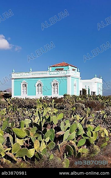 Villa surrounded by cacti, Antigua, Fuerteventura, Canary Islands, Spain, Europe.