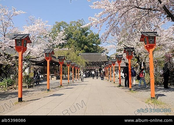 Cherry blossom at the Hirano Shrine, Kyoto, Japan, East Asia, Asia.