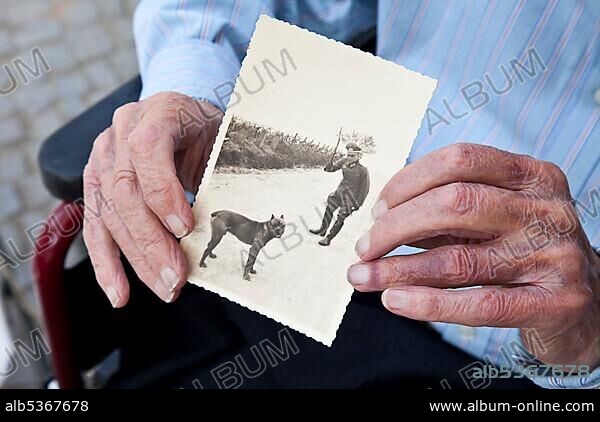 German Wehrmacht soldier with dog on an old historic photo, old man's hand holding a black and white photography, nursing home, retirement home.