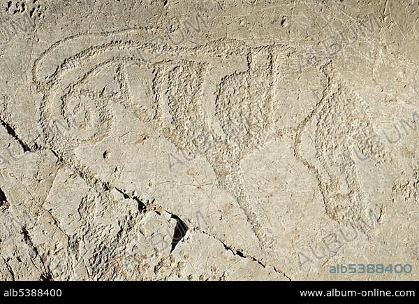 Prehistoric pictogram, petroglyph, wild boar, Tschuja valley, Altai Republic, Siberia, Russia, Asia, Europe.