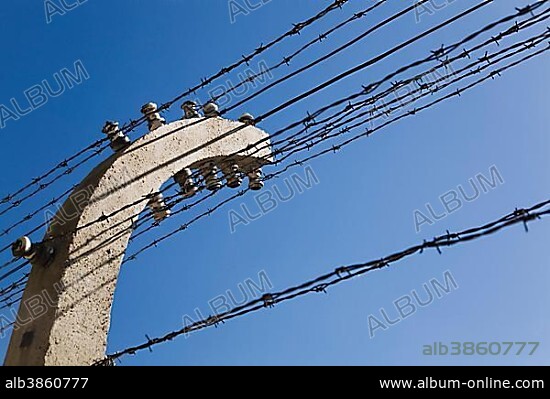 Barb wire store online