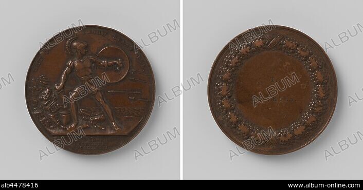 DEFENCE MEDAL - Stock Photos, illustrations, video and