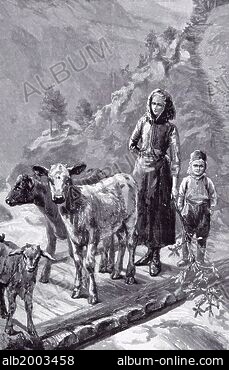 GEBIRGSBACH - Stock Photos, Illustrations And Images - Album