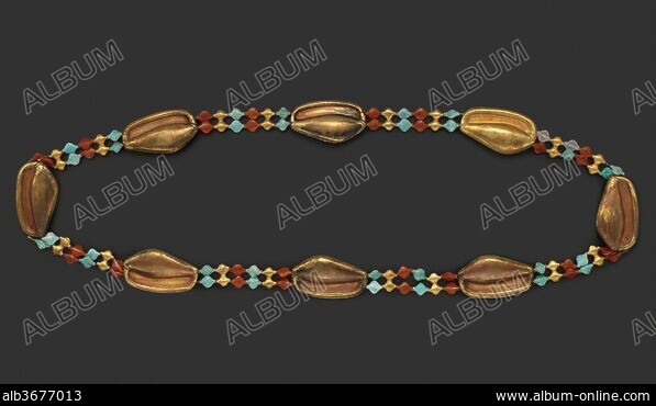 COWRIE - Stock Photos, Illustrations and Images - Album