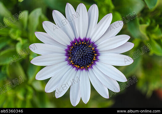 Uxlab yotgan opaning mushukidagi porno Chechen erkaklar bilan jinsiy aloqada bolgan qizlarning videolarini yuklab olmasdan koring.