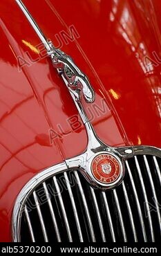 JAGUAR FIGURE - Stock Photos, Illustrations and Images - Album