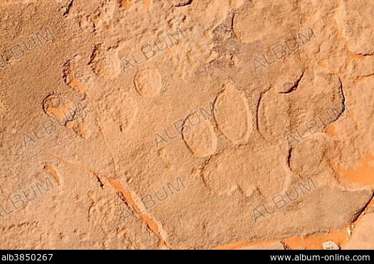 TASSILI - Stock Photos, illustrations, video and images - Album