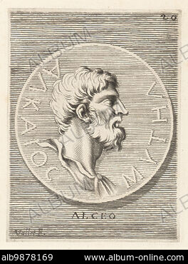 ALCEO - Stock Photos, Illustrations and Images - Album ALCEO - Stock Photos, Illustrations and Images - Album