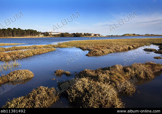 TIDAL ESTUARY - Stock Photos, Illustrations and Images - Album, image size:525x370