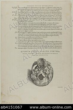 CALCAR, JAN STEPHAN, VAN - Stock Photos, Illustrations and CALCAR, JAN STEPHAN, VAN - Stock Photos, Illustrations and