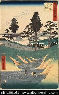 TOTSUKA—NO. 6 - Stock Photos, Illustrations and Images - Album TOTSUKA—NO. 6 - Stock Photos, Illustrations and Images - Album