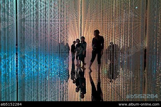 LED Installation, Visitors at the Digital Art Museum, TeamLab Planets, Koto City, Tokyo, Japan, Asia.